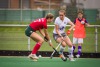 Hockey 2. Bundesliga Damen BHTV vs CHTCDas Spiel endet 2:1 für Bonn