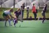 Hockey 2. Bundesliga Damen BTHV vs Polo Cub HamburgDas Spiel endet 2:0