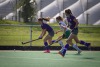 Hockey 2. Bundesliga Damen BTHV vs Polo Cub Hamburg
Das Spiel endet 2:0