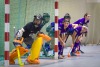 1. Hockey Hallen Bundesliga DamenBTHV vs DHC 3:6