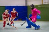 1. Hockey Hallen Bundesliga Damen
RWK vs BTHV  4:4