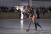 1. Hockey Hallen Bundesliga DamenBTHV vs HTCU  4:1