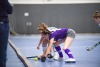 1. Hockey Hallen Bundesliga Damen
DHC vs BTHV12:0