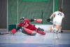 1. Hockey Hallen Bundesliga Damen
DHC vs BTHV12:0