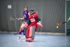 1. Hockey Hallen Bundesliga Damen
DHC vs BTHV12:0