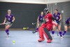 1. Hockey Hallen Bundesliga Damen
DHC vs BTHV12:0