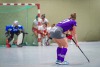 1. Hockey Hallen Bundesliga Damen 
BTHV vs CHTC 6:3