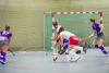 1. Hockey Hallen Bundesliga Damen 
BTHV vs CHTC 6:3