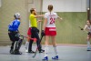 1. Hockey Hallen Bundesliga Damen 
BTHV vs CHTC 6:3