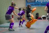1. Hockey Hallen Bundesliga Damen 
BTHV vs CHTC 6:3