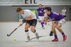 2. Hockey Hallen Bundesliga Herren 
SW Köln vs BTHV 8:3