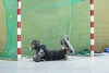 2. Hockey Hallen Bundesliga HerrenBTHV v BZHVs HCE99 11:5