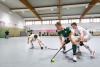 2. Hockey Hallen Bundesliga HerrenBTHV v BZHVs HCE99 11:5