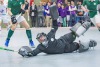 2. Hockey Hallen Bundesliga HerrenBTHV v BZHVs HCE99 11:5