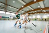 2. Hockey Hallen Bundesliga HerrenBTHV v BZHVs HCE99 11:5