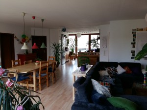 1b Offener Wohnraum 2